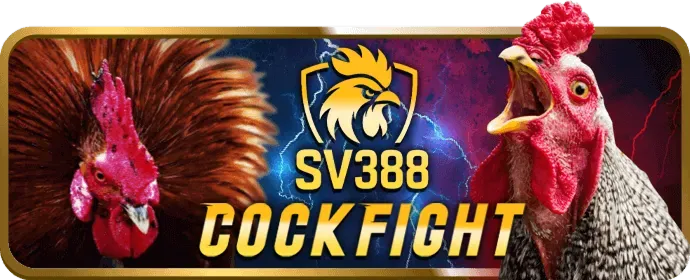 Chương trình hoàn trả eu99 win hàng tuần